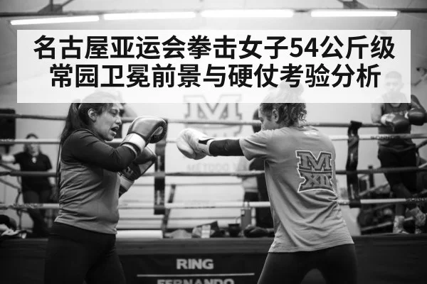 female boxer training